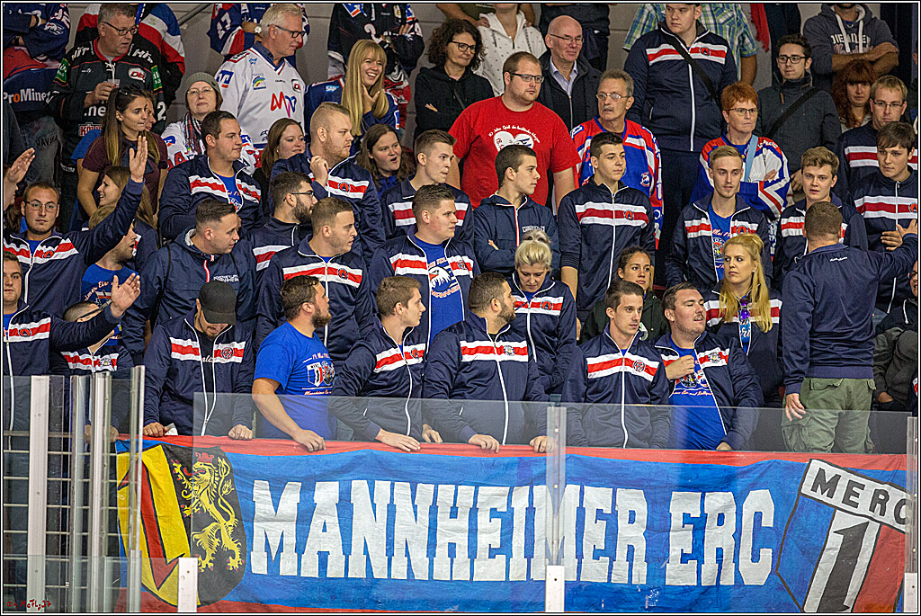 Testspiel Koelner Haie - Adler Mannheim, 09.09.2018